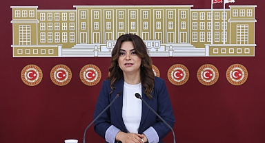 DEM Parti'li Koçyiğit: Bütün partiler İmralı'ya gitmeli
