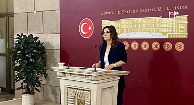 DEM Parti'li Koçyiğit: Kurtulmuş'un komisyon için yaptığı davetten memnuniyet duyuyoruz