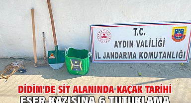 Didim'de SİT alanında kaçak tarihi eser kazısına 6 tutuklama