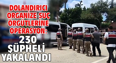 Dolandırıcı organize suç örgütlerine operasyon: 230 şüpheli yakalandı
