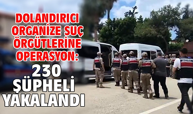 Dolandırıcı organize suç örgütlerine operasyon: 230 şüpheli yakalandı