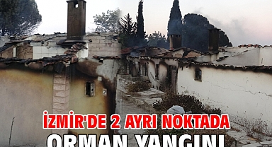 İzmir'de 2 ayrı noktada orman yangını