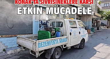 Konak'ta sivrisineklere karşı etkin mücadele