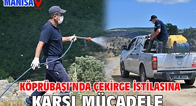 Köprübaşı’nda Çekirge İstilasına Karşı Mücadele