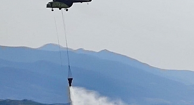 Manisa'da tarım arazisindeki yangın, ormanı da yaktı