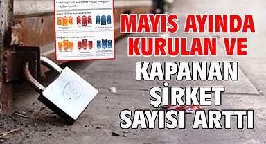 Mayıs ayında kurulan ve kapanan şirket sayısı arttı