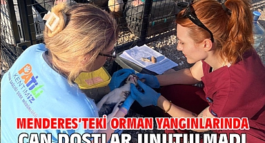 Menderes’teki orman yangınlarında can dostlar unutulmadı