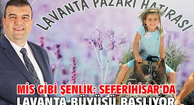 Mis Gibi Şenlik: Seferihisar’da Lavanta Büyüsü Başlıyor