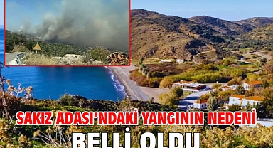 Sakız Adası'ndaki yangının nedeni belli oldu
