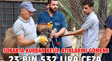 Sokakta kurban kesip, atıklarını gömene 23 bin 532 lira ceza