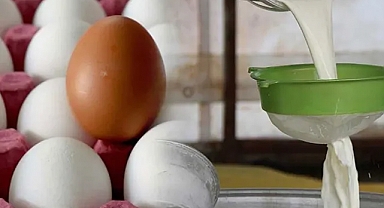TÜİK: Tavuk eti üretimi arttı, yumurta ve süt üretimi azaldı