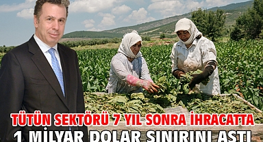 Tütün sektörü 7 yıl sonra ihracatta 1 milyar dolar sınırını aştı