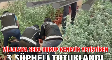 Villalara sera kurup kenevir yetiştiren 3 şüpheli tutuklandı