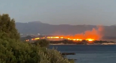 Aliağa'da otluk yangını çıktı