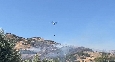 Aydın’da makilik ve zeytinlik alanda yangın