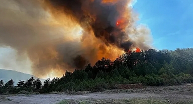 Balıkesir'de orman yangını