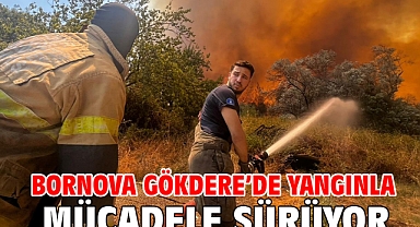 Bornova Gökdere’de yangınla mücadele sürüyor