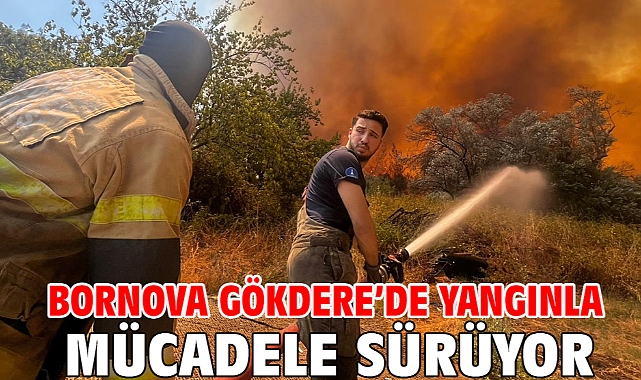 Bornova Gökdere’de yangınla mücadele sürüyor