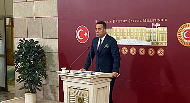 CHP'li Başarır: Zeytin ağaçlarının yerini değiştirmeyin