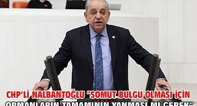 CHP’li Nalbantoğlu “Somut Bulgu Olması İçin Ormanların Tamamının Yanması Mı Gerek”