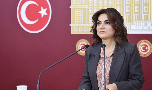 DEM Parti'li Koçyiğit: Komisyon demokratikleşme ve barış perspektifi içermeli