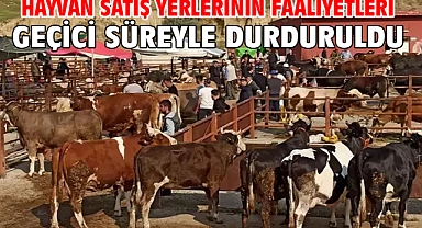 Hayvan satış yerlerinin faaliyetleri geçici süreyle durduruldu