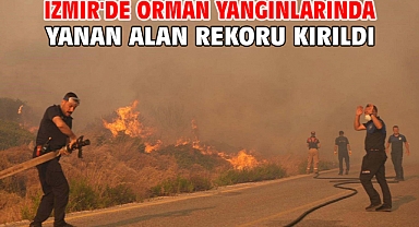 İzmir'de orman yangınlarında yanan alan rekoru kırıldı