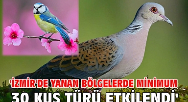 'İzmir'de yanan bölgelerde minimum 30 kuş türü etkilendi'