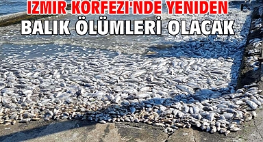 İzmir Körfezi'nde yeniden balık ölümleri olacak