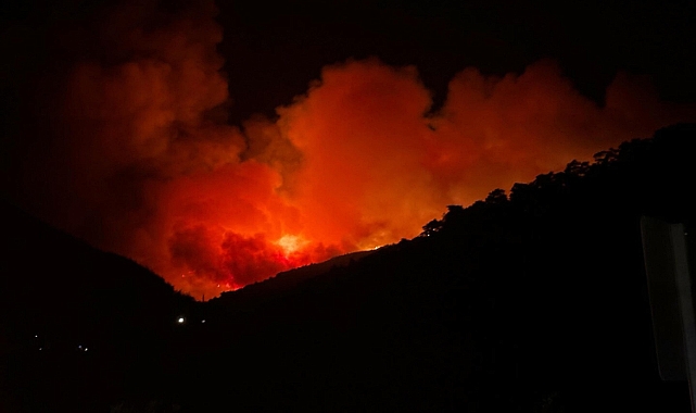 İzmir Ödemiş'te orman yangını