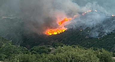 Manisa Sarıgöl’de çıkan yangın Uşak’a ulaştı; bazı evler tahliye edildi
