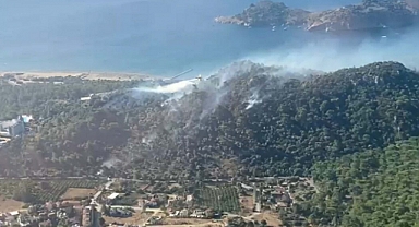 Muğla’da orman yangını