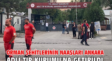 Orman şehitlerinin naaşları Ankara Adli Tıp Kurumu'na getirildi