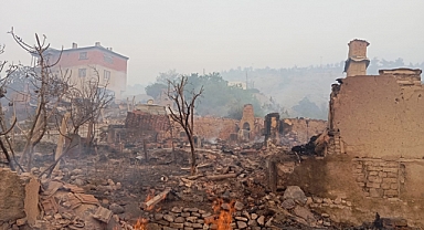 Sakarya'da orman yangını: Taşoluk Mahallesinde 3 ev kül oldu