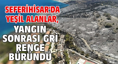 Seferihisar'da yeşil alanlar, yangın sonrası gri renge büründü