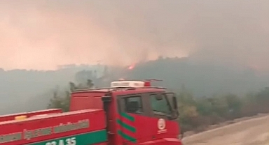 Suriye'deki orman yangını, yeniden sınıra yaklaştı