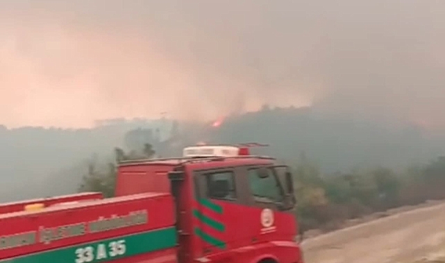 Suriye'deki orman yangını, yeniden sınıra yaklaştı