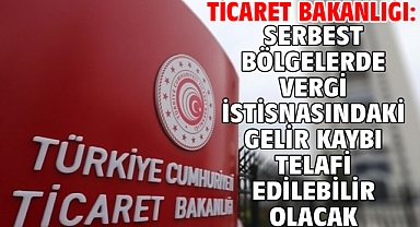 Ticaret Bakanlığı: Serbest bölgelerde vergi istisnasındaki gelir kaybı telafi edilebilir olacak