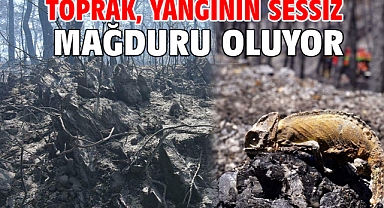 Toprak, yangının sessiz mağduru oluyor
