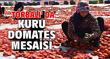 Torbalı' da kuru domates mesaisi