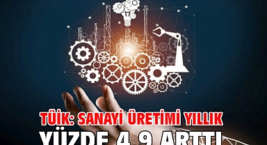 TÜİK: Sanayi üretimi yıllık yüzde 4,9 arttı