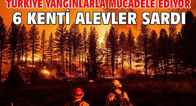 Türkiye yangınlarla mücadele ediyor! 6 kenti alevler sardı