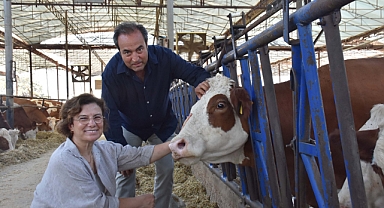 Veteriner çift, çiftlikteki buzağılarına tanıdıklarının ismini veriyor