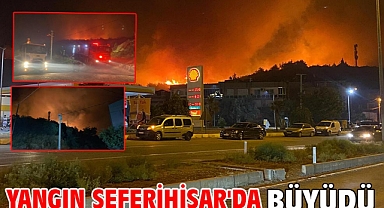 Yangın Seferihisar'da büyüdü