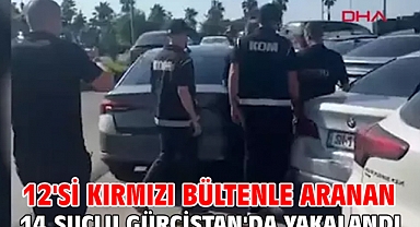 12'si kırmızı bültenle aranan 14 suçlu Gürcistan'da yakalandı