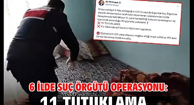 6 ilde suç örgütü operasyonu: 11 tutuklama