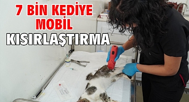 7 bin kediye mobil kısırlaştırma
