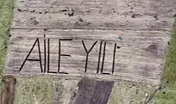 'Aile Yılı'nda 109 belediyeden 168 destek