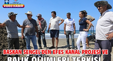 Başkan Sengel'den Efes Kanal Projesi ve Balık Ölümleri Tepkisi