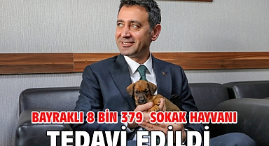 Bayraklı 8 bin 379 sokak hayvanı tedavi edildi 